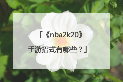 《nba2k20》手游招式有哪些？