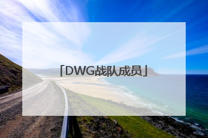 「DWG战队成员」DWG战队成员介绍