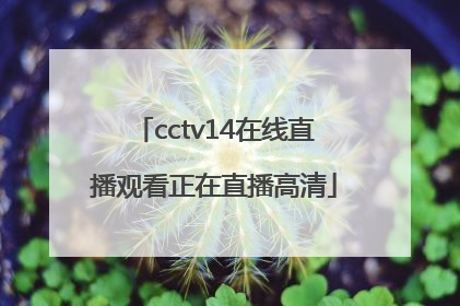 「cctv14在线直播观看正在直播高清」cctv5+在线直播观看正在直播高清