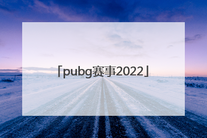 「pubg赛事2022」pubg赛事2021秋季赛